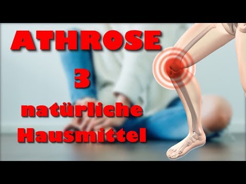Dysfunktion der Kiefergelenksentzündung Labradors Gelenkerkrankung