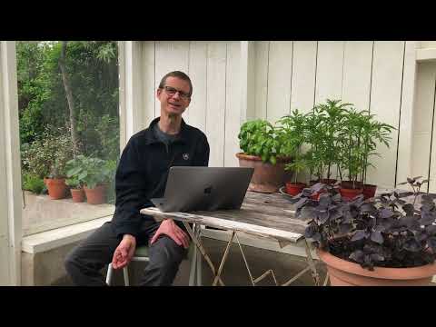 Jooga toteutuu tässä hetkessä