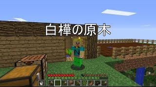 【マインクラフト】倍速は今日も元気です〔ぬーの１スタックコレクション！♯８〕