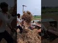 Kalay Aai Chi Dharni Tila Lekrachi Maya
