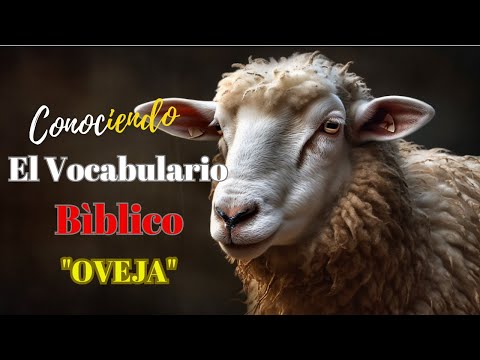 LA OVEJA SEGÙN LA BIBLIA