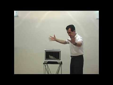 AUTO DOVE AND RABBIT CAGE by Tora Magic