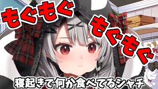 もぐもぐしながら配信を開始する沙花叉クロヱがかわいい【ホロライブ切り抜き/沙花叉クロヱ】