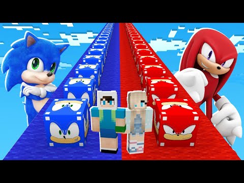 BEBEK SONİC ŞANS BLOCK VS BEBEK KNUCKLES ŞANS BLOK! ⚠️ Minecraft
