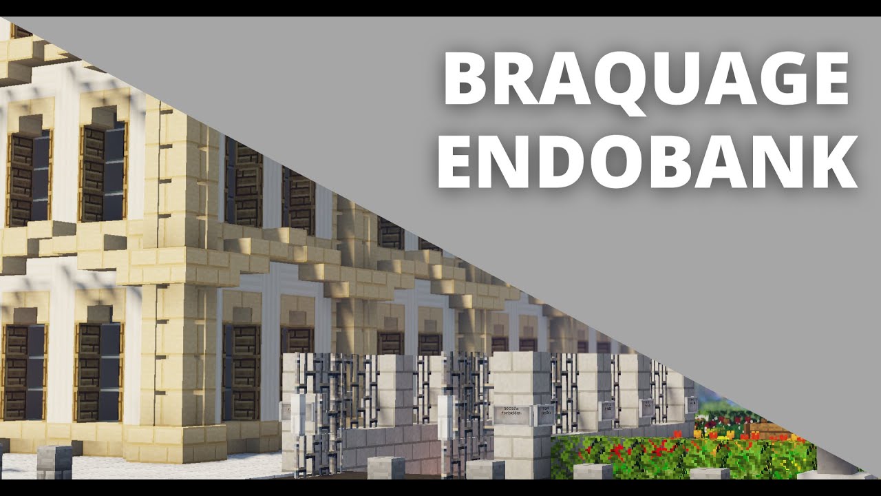 BRAQUAGE DE LA BANQUE EN SOLO ✦ ENDOCRAFT