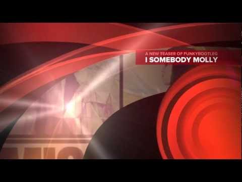 Gotye V.S. Cedric Gervais I SOMEBODY MOLLY(FunkyBootleg MashUp) "Teaser"