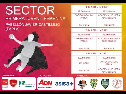 ACADEMIA HELVETIA ALCOBENDAS - BM IKASA