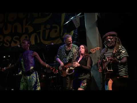 Brooklyn Funk Essentials / London 11th of October 2021