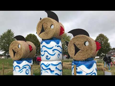 Blaskapelle Peng spielt für Sie Melodien