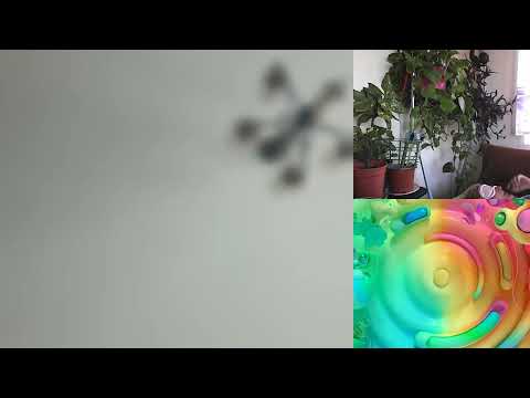 Hipn regresiva 1928 Florina si reintoarcere in familia straveche A si C Moraru