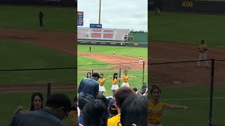 【Passion Sisters】#怡琪 #夏蕾 #維尼  #莎莎 ドミニカVS中信兄弟 熱身賽@桃園棒球場 20241110 #台湾チア #cheerdance #cheerleading