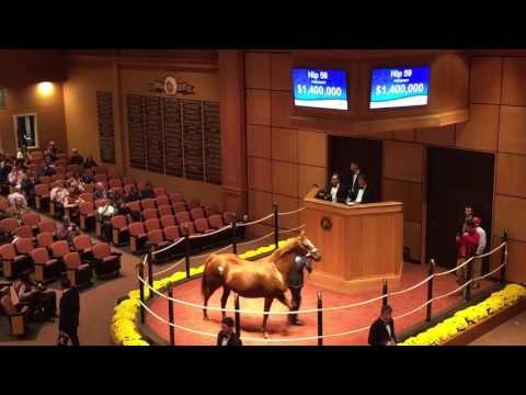 Love the Chase Hip 59