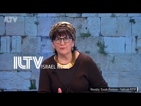 Parashat Hashavua: VaErah - Weekly Torah Portion