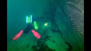 Diving Little Blue