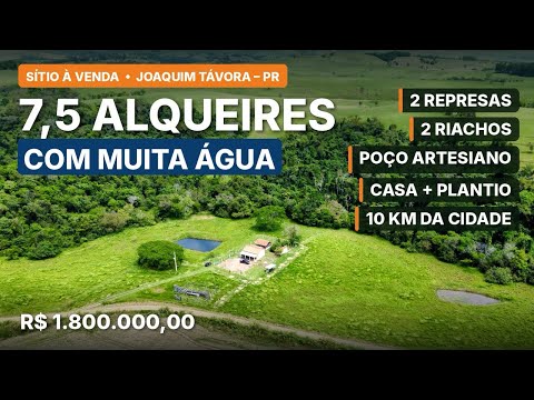 Sítio à venda em Joaquim Távora PR, Norte Pioneiro | 7,5 alqueires com muita água 