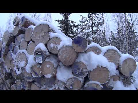 Metsolan Metsäkoulu 122 - Tukin laatuvaatimukset