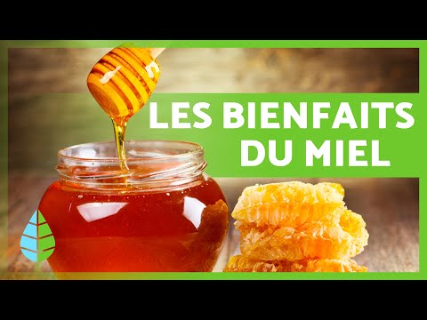 8 BIENFAITS incroyables du MIEL 🍯✅ Quels sont les bienfaits du miel ?