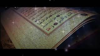 اللهم اجعل القرآن ربيع قلوبنا ونور صدورنا وذهاب همومنا #سورة الزمر لراحه النفسيه وطمأنينة القلب 🌸