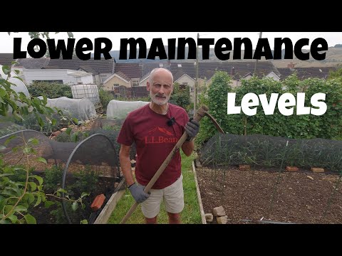 Lowering maintenance levels | Allotments For Fun and Food
