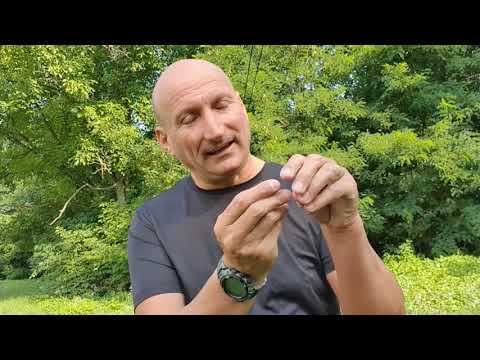 314.  Kakva će biti kazna za ljude koji su izabrali tamu i zlo?