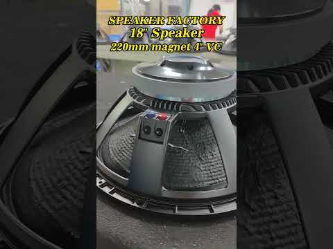18 inch speaker