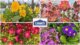 NEW at Lowe’s Garden Center | March 2026 Spring Plant Arrivals
