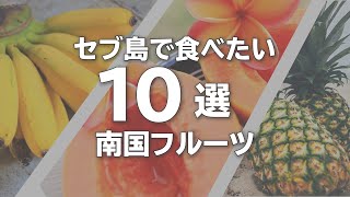 セブ島旅行で食べたい南国フルーツ10選