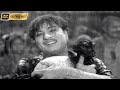 புத்தன் இயேசு காந்தி பாடல் Buddhan Yesu Gandhi Song Ms