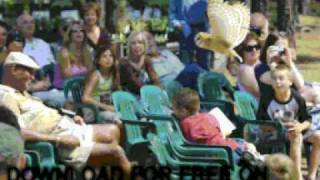 live - The Sancitity Of Dreams - Birds of prey