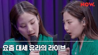 유라 youra - my [LIVE] / 일기