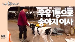 [나는농부다 244회] 우유 1통으로 송아지 이사