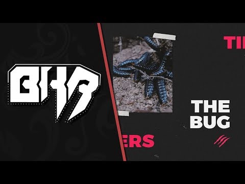 Tiigers  - The Bug