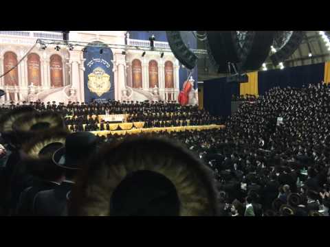 Bobov 45 Mega Wedding Teves 5776 2/8