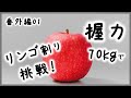 【番外編#01 】握力何kgでリンゴはつぶせるのか？【リンゴ割り挑戦動画】
