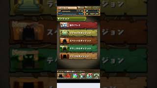 名前変えま～す　パズドラ ゴッドフェス
