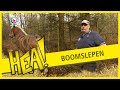 HEA! Boomslepen met een paard