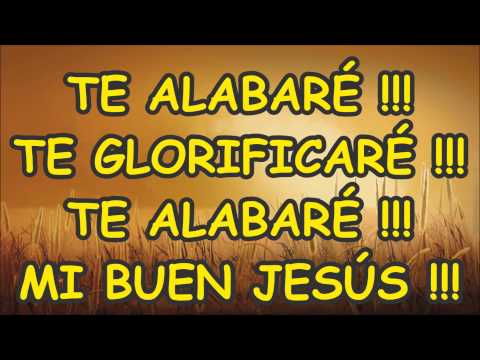 TE ALABARÉ TE GLORIFICARÉ