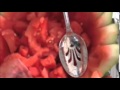 Watermelon Inside Watermelon Vine