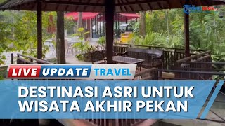 Wisata Jakarta Escape, Tawarkan Ruang Terbuka Hijau yang Luas dan Restoran Berkonsep Balance Food