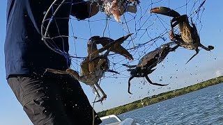 Catching MUD CRABS | Cooking PRAWNS | AUSTRALIAN SEAFOOD BOUNTY