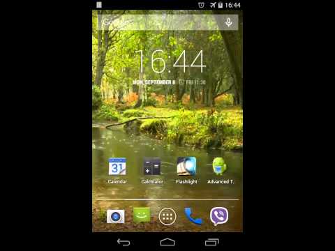 Rain in the forest Video LWP video thumbnail