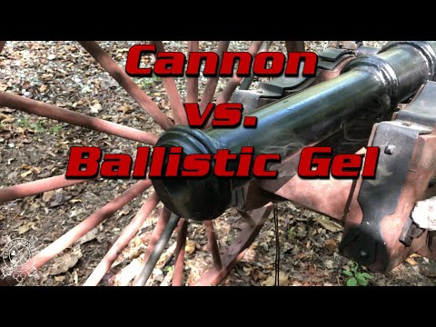 Cannon vs. Ballistic Gel