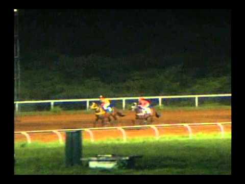 6ta. Carrera Miercoles 23 de Octubre de 2013 SANTA RITA