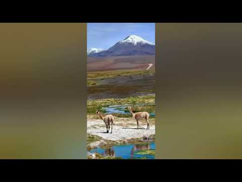 Pampa de los guanacos [Cristóforo Juárez - Agustín Carabajal] - Los Carabajal