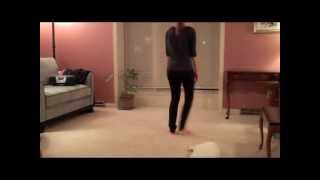 1st Dance Instruction / Breakdown