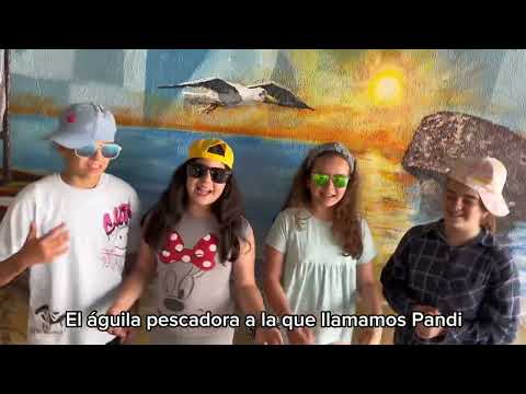 Vídeo Colegio Tartessos