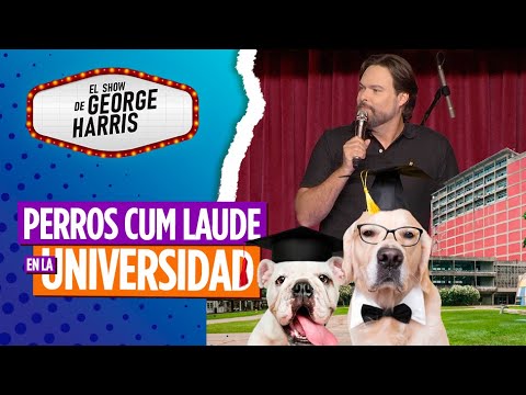 El Show de George Harris 14/09/23 Parte 3 - Los perros de la UCV estudiaban 🐶