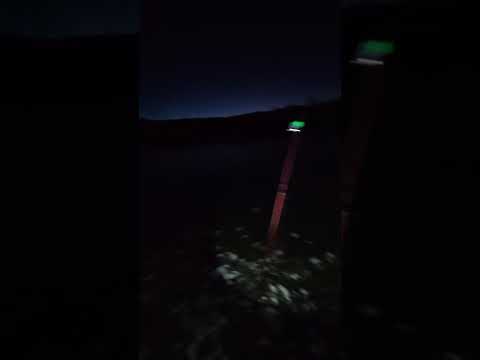 Bagre de 10 kg Puente Loncomilla, San Javier.