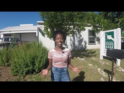 Meet Our Staff - Crissy Cohen, HCFB Volunteer Services Coordinator