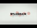 Wildbrain Logo Long Version